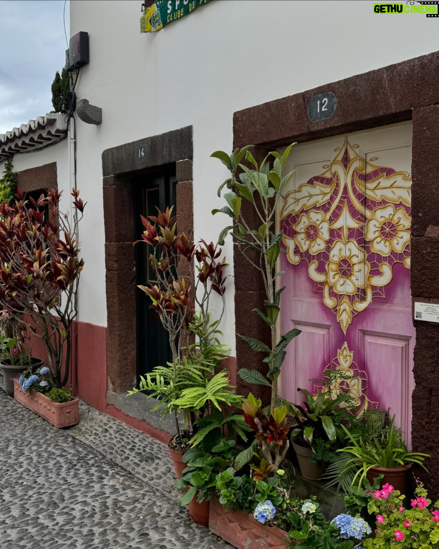 Pepe Rodríguez - 9.9K Likes - Acabo de desembarcar en la isla de Madeira, concretamente en Funchal ¡Qué maravilla de sitio! Lo tiene todo, calles pintorescas, buenos restaurantes, mejor vino y un mar cálido maravilloso. Os voy contando más cositas, pero cuando me termine el vino.
#madeiraisland
#portosantoisland
#visitmadeira #madeiranowordsneeded #madeirabelongstoall
#madeiratãotua
#gift