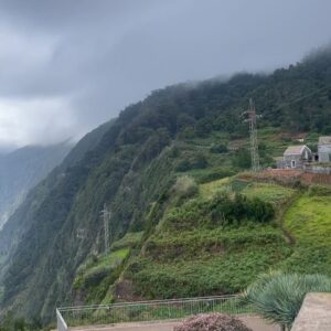 Pepe Rodríguez Instagram - Ohhhhhh. Nos despedimos de la isla de madeira con la sensación de haber descubierto un espacio único para pasar unos días estupendos. Un clima maravilloso , un mar único. Lugares para hacer senderismo y una gran gastronomía regada con grandes vinos. !!!! Volveremos …me he dejado rutas por conocer y vinos sin beber.  Ahhhh y su gente. Muy acogedora !!! Viva la poncha 🍷🍷🍷🍇🍇🍇🍾🍾🍾🍾🍾. @visitmadeira 
#gift 
#madeiraisland
#portosantoisland
#visitmadeira
#madeiranowordsneeded
#madeirabelongstoall
#madeiratãotua