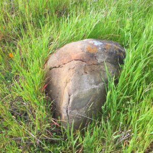 Pete Docter Instagram - Miyazaki rock.