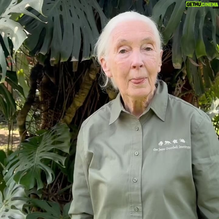 Peter Gabriel - 8.6K Likes - We’ve made a film together to highlight that your money may be being used to destroy the planet you love. 💚💚💚
We want to drive billions out of deforestation. Tag your pension provider below to tell them to stop any deforestation in their portfolio now.
Paul, Jane and Peter x
Film by @paulgoodenough , feat, @janegoodalluk and an exclusive acoustic version of RED RAIN from @itspetergabriel
@rewritingearth @strangebeasttv @mmmoneymatter_ @global_witness @global_canopy @jeanette_norgaard @passionpicturesfilms @trianglemonday