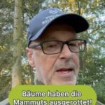 Peter Wohlleben