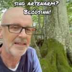 Peter Wohlleben