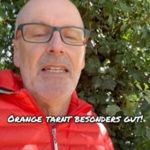 Peter Wohlleben Instagram - Zur Beobachtung von Wildtieren könnt ihr alles mögliche anziehen, aber bitte nicht blau! Rehe, Hirsche und Wildschweine können besonders gut blaues Licht wahrnehmen. Das hilft ihnen in der Dämmerung, Kontraste besser wahrzunehmen. Rot dagegen ist für sie völlig unauffällig, genauso orange. Selbst grüne Kleidung, die vermeintlich besonders gut naturangepasst ist, ist für diese Tiere besser zu sehen als Orange. Wenn ihr also jemand in knalligen orangen Klamotten durch den Wald ziehen seht, dann wisst ihr jetzt: Diese Person kennt sich besonders gut aus!
#waldliebe #bäume #wald #naturelovers #naturliebe #wildlife #tiere #rehe #wohllebenswaldakademie #wohllebenswelt