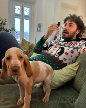 Pinguini Tattici Nucleari Instagram - Io posando con il nuovo maglione di Natale dei PTN e due bracchi giusto per non farmi mancare niente. Ps. Se lo volete lo trovate nelle stories (il maglione non il bracco, non abbiamo bracchi nel merch) 🐧❤️