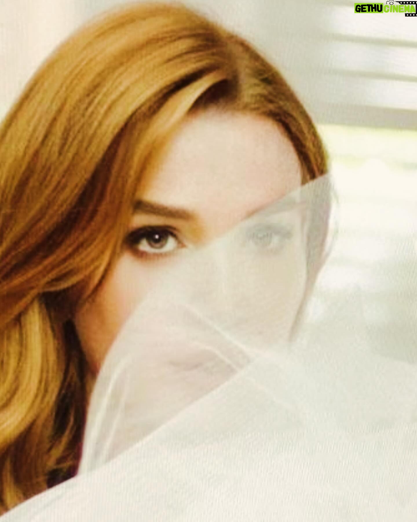 Actress Poppy Montgomery HD Photos and Wallpapers July 2024 | Gethu Cinema