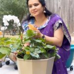 Pranathy Sadhanala