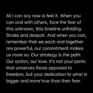 Prentis Hemphill Instagram - There’s a frenzy that happens in these moments. The pit, the churning in my own stomach is panic, realizing that somehow I carried on each day underestimating the determination and depravity we face, the cruelty. 

All I can say now is feel it. When you can and with others, face the fear of this unknown, this timeline unfolding. Shake and despair. And when you can, remember that we each and together are powerful, our commitment makes us more so. Our strategy is the path. Our action, our love. It’s not your panic that unnerves those opposed to freedom, but your dedication to what is bigger and more true than their fear.