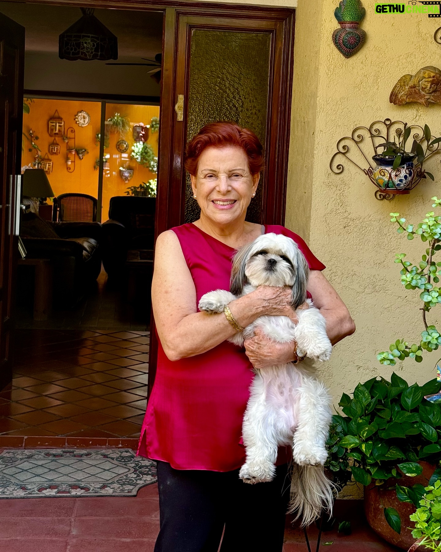 Priscila Faz - 2.7K Likes - Monterrey, NL, tienes mi corazón entre tus montañas y tu carne asada⛰️❤️
Nada se compara con ver a la gente con la que creciste, ver a las huercas decirle tía a todo adulto que ven en su encuentro, maravillarse con las tortillas de harina y atorarse en columpios, prender el asador a la mínima provocación, amanecer despacio con mi mamá, platicar con mis tías, ir al HEB (y botenear en el transcurso), ver a Luna convertirse en canina sampetrina y a mi mamá caer redonda por ella.
TQM SPGG, prometo venir más seguido, sigue con tus chismes del pádel, cuídame a mi mami y trata de mantenerte hidratado pero sin ahogarte hasta que regrese 🫶🏽🙊.