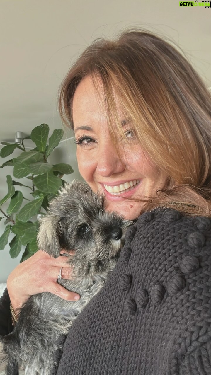 Priscilla Vargas - 20.4K Likes - Feliz día del perro! 🐕
Mi Chelita a sus 4 meses es puro amor y
abrazos al cielo a todos esos perritos que llevamos en el corazón ♥️