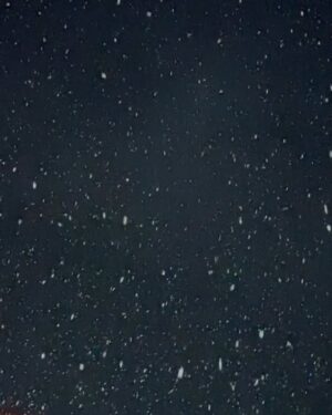 Pung-ja Instagram - ❄️