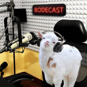 Quim Barreiros Instagram - Não percebo o fascínio com os podecasts. Se começasse por outra letra ainda entendia. A cabritinha quer um bodecast, com B... Já eu tinha pensado noutra letra mas não se pode escrever aqui 😂 

#diadopodcast #QuimBarreiros #QuingBarreiros #TioQuim