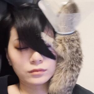 RaMu Instagram - 踊る！さんま御殿！！見てくれてありがとうございました！
見逃した人はTVerでも無料で見れるからみてね\( ˙▿˙　)/

 #さんま御殿
 #踊るさんま御殿
 #ミーアキャット
 #フクロモモンガ
 #ヒョウモントカゲモドキ
 #ベルツノガエル