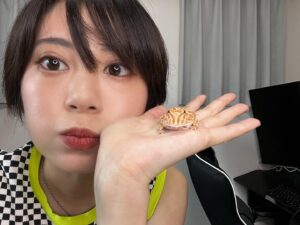 RaMu Instagram - うちの子供達大集合
 #ヒョウモントカゲモドキ 
 #レオパードゲッコー
 #レオパ
 #ツノガエル
 #ベルツノガエル
 #フクロモモンガ
 #フクモモ
 #Sugarglider
 #ミーアキャット
 #meerkats