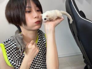 RaMu Instagram - うちの子供達大集合
 #ヒョウモントカゲモドキ 
 #レオパードゲッコー
 #レオパ
 #ツノガエル
 #ベルツノガエル
 #フクロモモンガ
 #フクモモ
 #Sugarglider
 #ミーアキャット
 #meerkats
