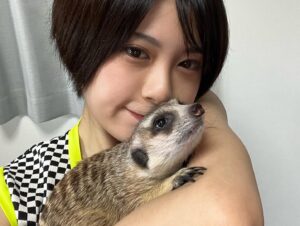 RaMu Instagram - うちの子供達大集合
 #ヒョウモントカゲモドキ 
 #レオパードゲッコー
 #レオパ
 #ツノガエル
 #ベルツノガエル
 #フクロモモンガ
 #フクモモ
 #Sugarglider
 #ミーアキャット
 #meerkats