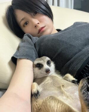 RaMu Instagram - 我が家の横綱

 #ミーアキャット
 #meerkats