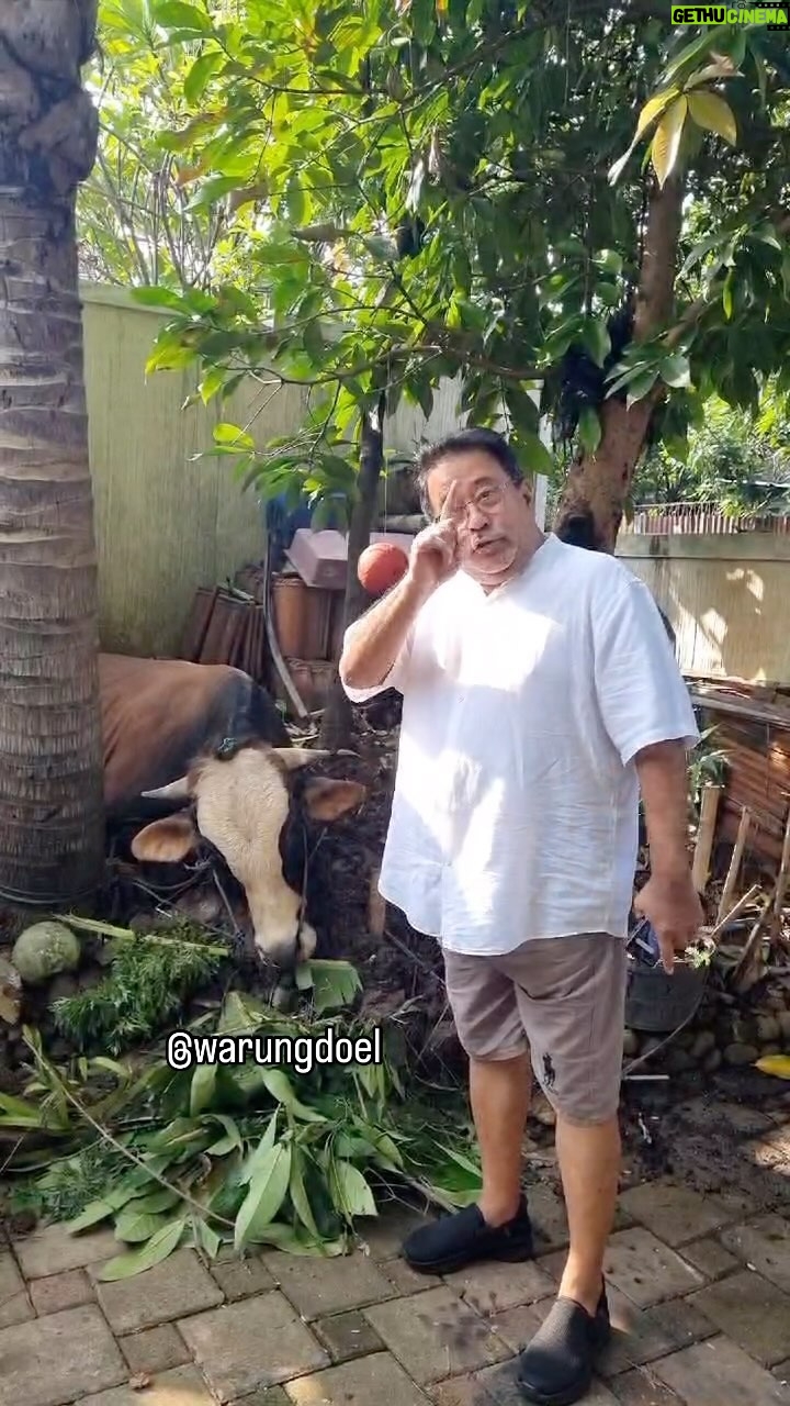 Rano Karno - 5.1K Likes - Alhamdulillah Idul Adha Tahun ini @warungdoel berkurban.. nah sekalian yee warungdoel tutup dulu sabtu minggu ini karena kite mau keluar kota dl.. sampe ketemu inshallah sabtu dan minggu depan yee..