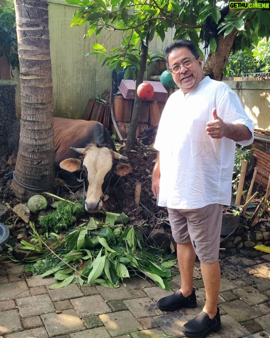 Rano Karno - 4.2K Likes - Idul adha 2024