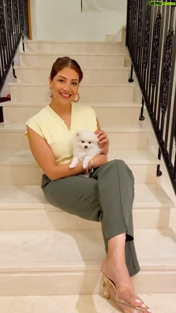 Rasha - 804 Likes - اتمنالكم ويكند حلو مثل فلفول🐶
#explore #explorepage #dubai #dubailife #dubaimall #dogsofinstagram #dogoftheday #دبي #دبي_مول #عراق #بغداد #اكسبلور ٪#اكسبلور_فولو #اكسبلور_explore