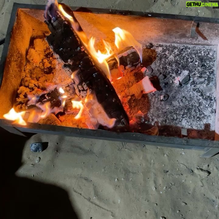 Rasha - 335 Likes - احب البر والمزيون ⛺️🌜