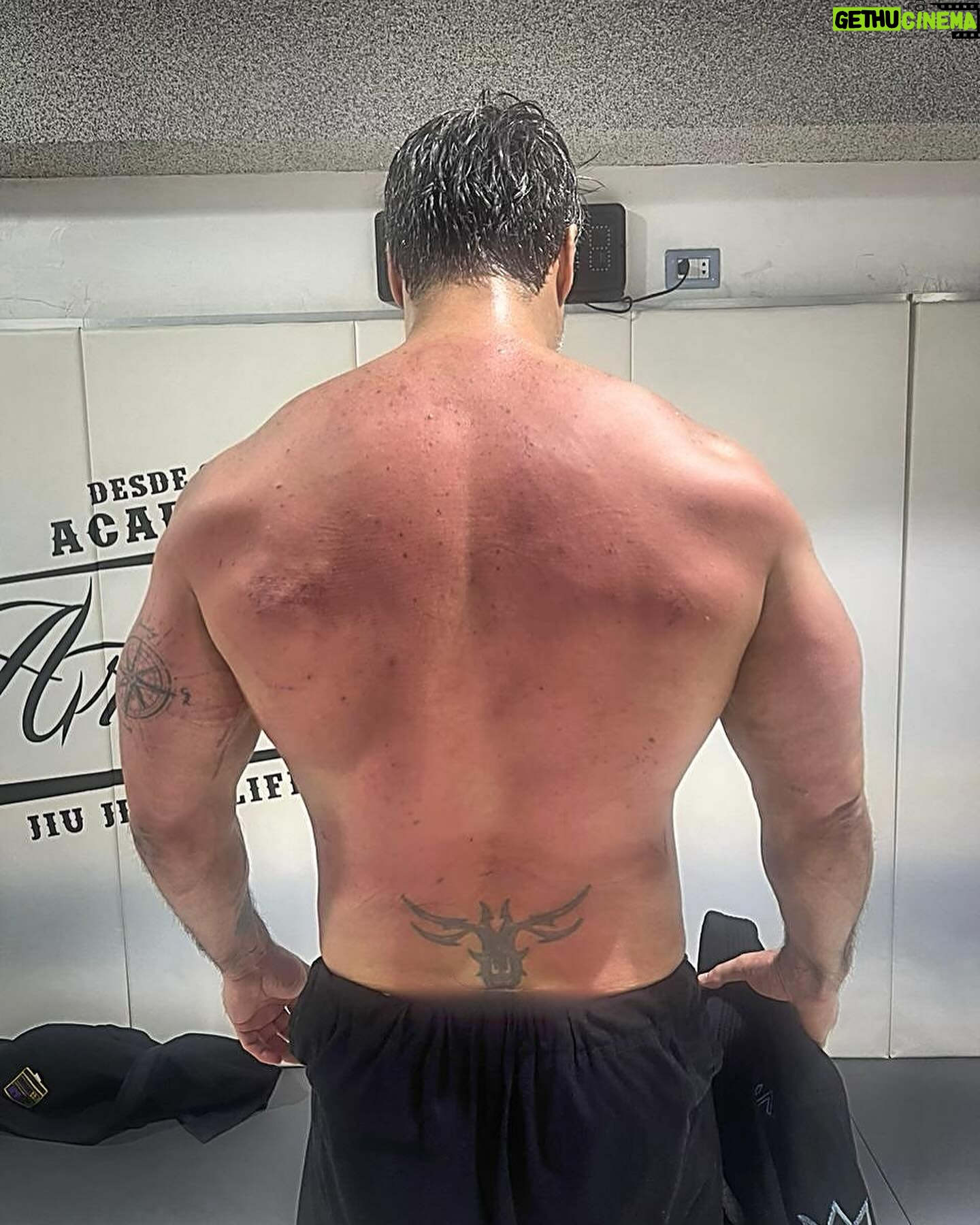 Raúl Olivo - 3 Likes - Tradición en B Jiu-Jitsu ( para los que preguntan ) pero les digo que ya tengo a algunos pillados!!! Habrá venganza!!! ( desliza ➡️ ) 🥋 @academia_artesuave #bjj #RO 🐺