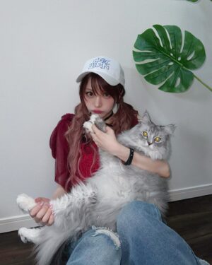 Reina Tanaka Instagram - .
かわいいでしょ♡
私の大きな大きな子供🐱💕笑
・‥…━━━☞・‥…━━━☞
#猫 #ジャック #ラガマフィン
#シンバは抱っこが嫌いで撮れません #😢