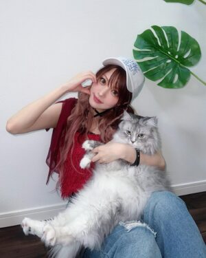 Reina Tanaka Instagram - .
かわいいでしょ♡
私の大きな大きな子供🐱💕笑
・‥…━━━☞・‥…━━━☞
#猫 #ジャック #ラガマフィン
#シンバは抱っこが嫌いで撮れません #😢