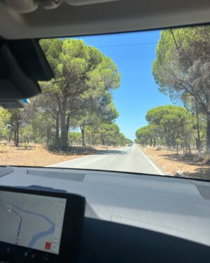 Ricardo de Sá Instagram - A comportar-me bem 🌊☀️ Nada como comprar fruta fresca dos produtores locais à beira da estrada, sentir a liberdade ao volante do meu #lexus da @caetanoauto e, claro, ter a companhia da minha fiel Liz 🐶. A praia é simplesmente incrível, com um mar azul que acalma a alma. E para completar, petiscos deliciosos com arroz de coentros, tomate, feijão e Choco frito. A vida é feita destes momentos 💙 #comporta #CaetanoAuto #FinsDeSemana #Praia #LizCompanheira #petiscos #ferias #escapadinha