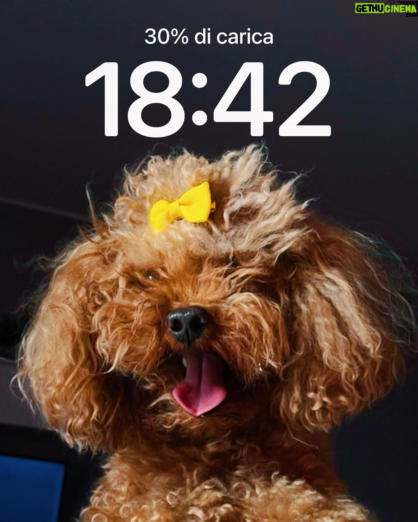 Riccardo Dose - 107.8K Likes - L’amore della mia vita, il mio bambino.