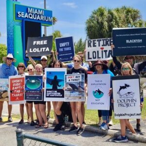Richard O'Barry Instagram - Abolish the Dolphin Killing Tanks: Miami Seaquarium is only one of dozens of dolphin Abusement parks owned by the Mexican Dolphin Cartel. We need to do more than empty their tanks—we need to ABOLISH the tanks! #emptythetanks #dolphinproject #abolishthetanks