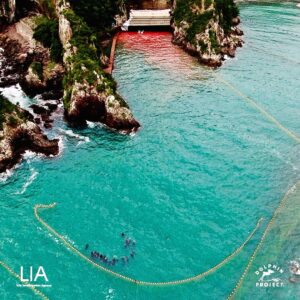 Richard O'Barry Instagram - Taiji: We are still up against an appeal the town of Taiji made on a ruling by Wakayama District Court over the redaction of information from public documents (sales contracts, invoices, export documents, and inventories for live cetaceans). ⚠️ Your support is urgently needed to continue to legal front in Japan: https://bit.ly/48DZsXT — or go to DolphinProject.com to DONATE 

The fight to abolish the defend Taiji’s dolphins and end the captive trade lies both in changing public opinion (both within Japan, and globally) and achieving favorable legal outcomes. Dolphin Project, along with its Japanese counterparts, believe these are the most productive and viable solutions. Together with Life Investigation Agency (LIA), Dolphin Project has several lawsuits in litigation in Japanese courts, in addition to this one.
