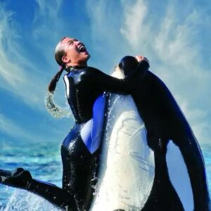 Richard O'Barry Instagram - Losing my Seaworld Religion by Valerie Greene: https://www.orlandosentinel.com/2024/06/05/commentary-losing-my-seaworld-religion/ Ms. Greene is a recovering orca trainer. (Orlando Sentinel)