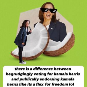 Richie Reseda Instagram - am i trippin?

there’s a difference between begrudgingly voting for #kamalaharris and stanning her like she’s some beacon for freedom lol. 

1. right?
2. @microplastic_cat 
3. @naleybynature 
4. @wokescientist
5. @trackaipac 
6. @leo4repro 
7. @painedandconfused 
8. u thought the money, the power, the fame, would make you go away?
9. @itsdanawhite 
10. @rashidatlaib