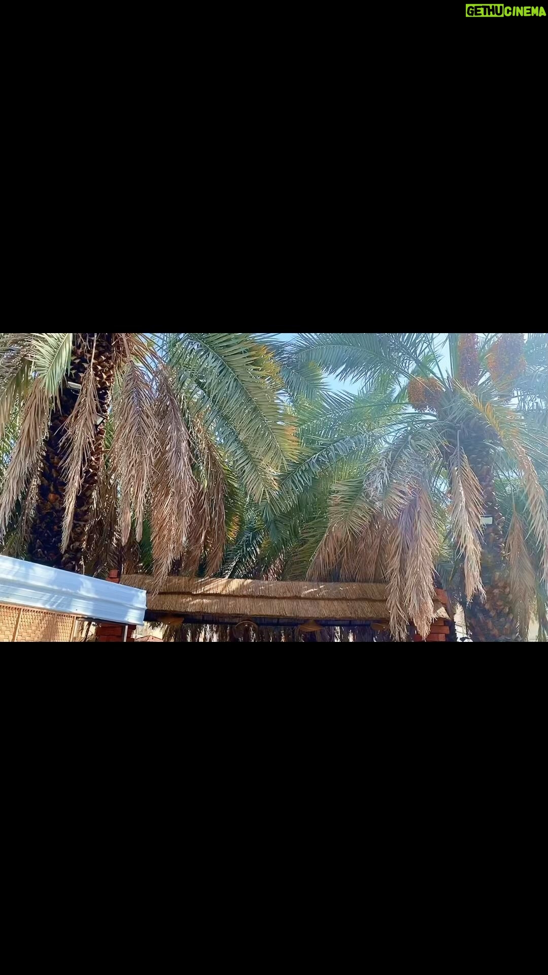 Rico Verald - 65 Likes - Para jamaah @diyafatalharamainofficial berkunjung ke kebun kurma