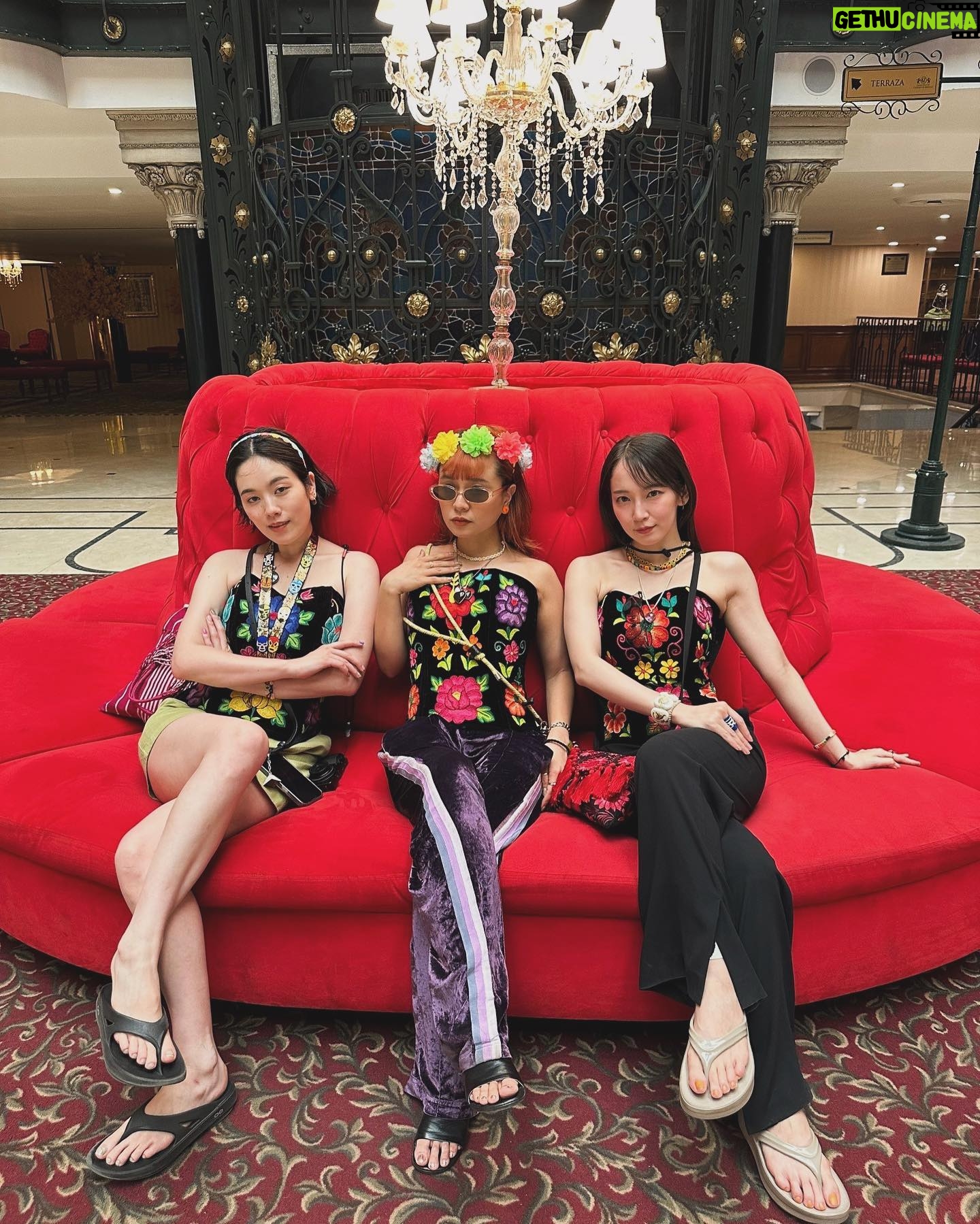 Riho Yoshioka - 195.6K Likes - メキシコ旅最後🐈⬛🐈⬛🐈⬛❤︎
次はどこへ行こう🐕