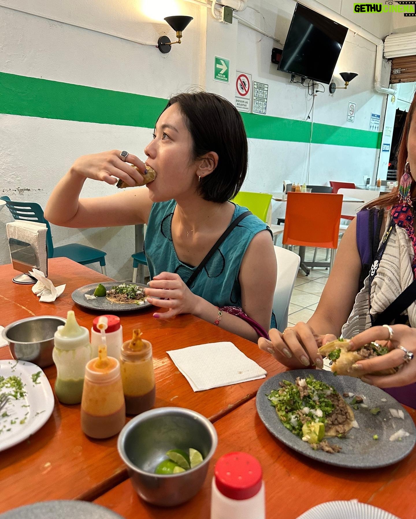 Riho Yoshioka - 185.9K Likes - momo合流❤︎
とにかく🌮を食べまくる
食べてりゃ何とかなるって思える味。
@charanpo_momo
@miwakokakei
#🇲🇽
#🌮
#ペドレガル邸近く