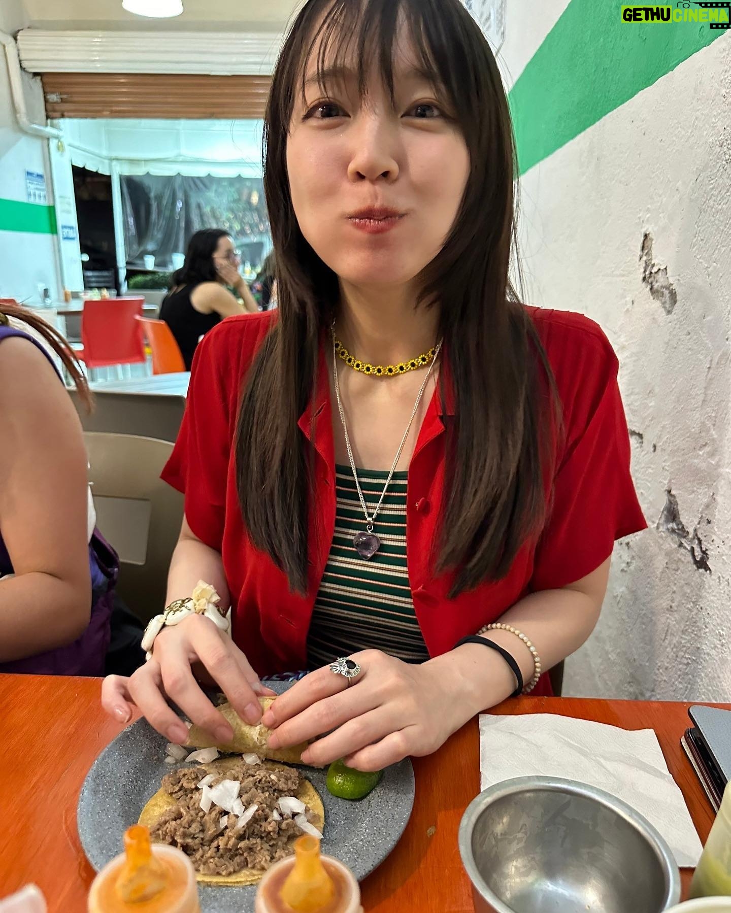Riho Yoshioka - 185.9K Likes - momo合流❤︎
とにかく🌮を食べまくる
食べてりゃ何とかなるって思える味。
@charanpo_momo
@miwakokakei
#🇲🇽
#🌮
#ペドレガル邸近く