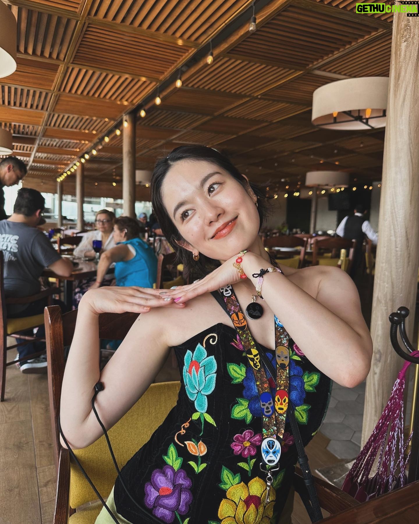 Riho Yoshioka - 195.6K Likes - メキシコ旅最後🐈⬛🐈⬛🐈⬛❤︎
次はどこへ行こう🐕