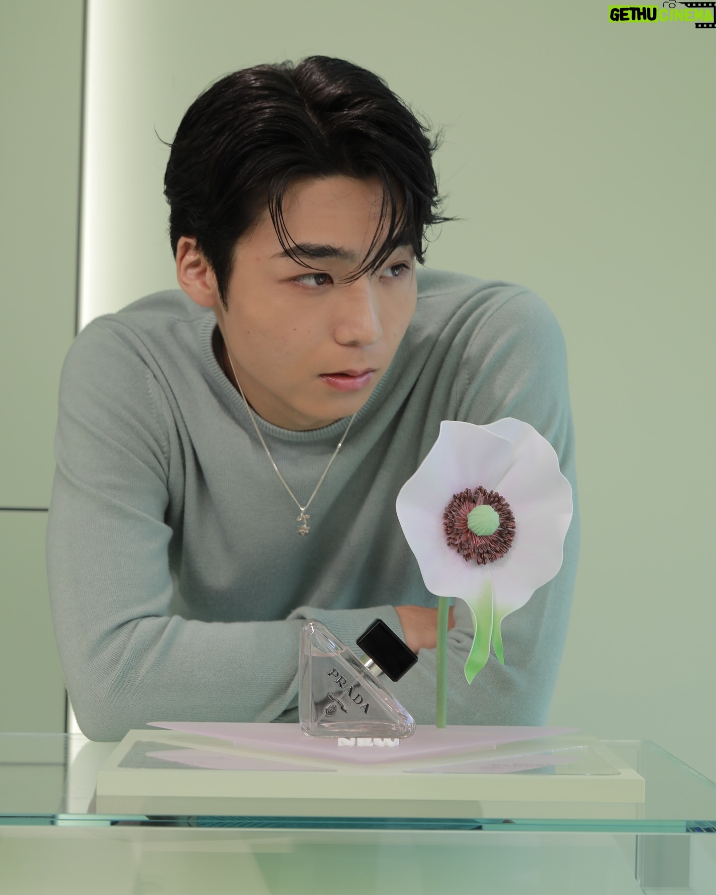 Rintaro Hachimura - 12.8K Likes - @pradabeauty
Prada Beauty Tokyoにお邪魔して、一足先にアイコンフレグランス 「パラドックス オーデパルファム」からの新作「パラドックス ヴァーチャル フラワー オーデパルファム」を体験させていただきました。元々「パラドックス」はとても好きな香りで、今回は花をモチーフにした新作ということでとても楽しみにしていたのですが、プラダならではの花へのアプローチが素敵で、香りも爽やかでありながらもゴージャスな自分になれる、いつでも自分を高めてくれる作品でした。ピンクのジュースも可愛らしく、象徴的なボトルデザインも相変わらず素敵でした。いつでも自分を最高にしてくれるフレグランスをみなさんも是非試してみてください。
#pradabeauty #プラダビューティ #プラダパラドックス #PR