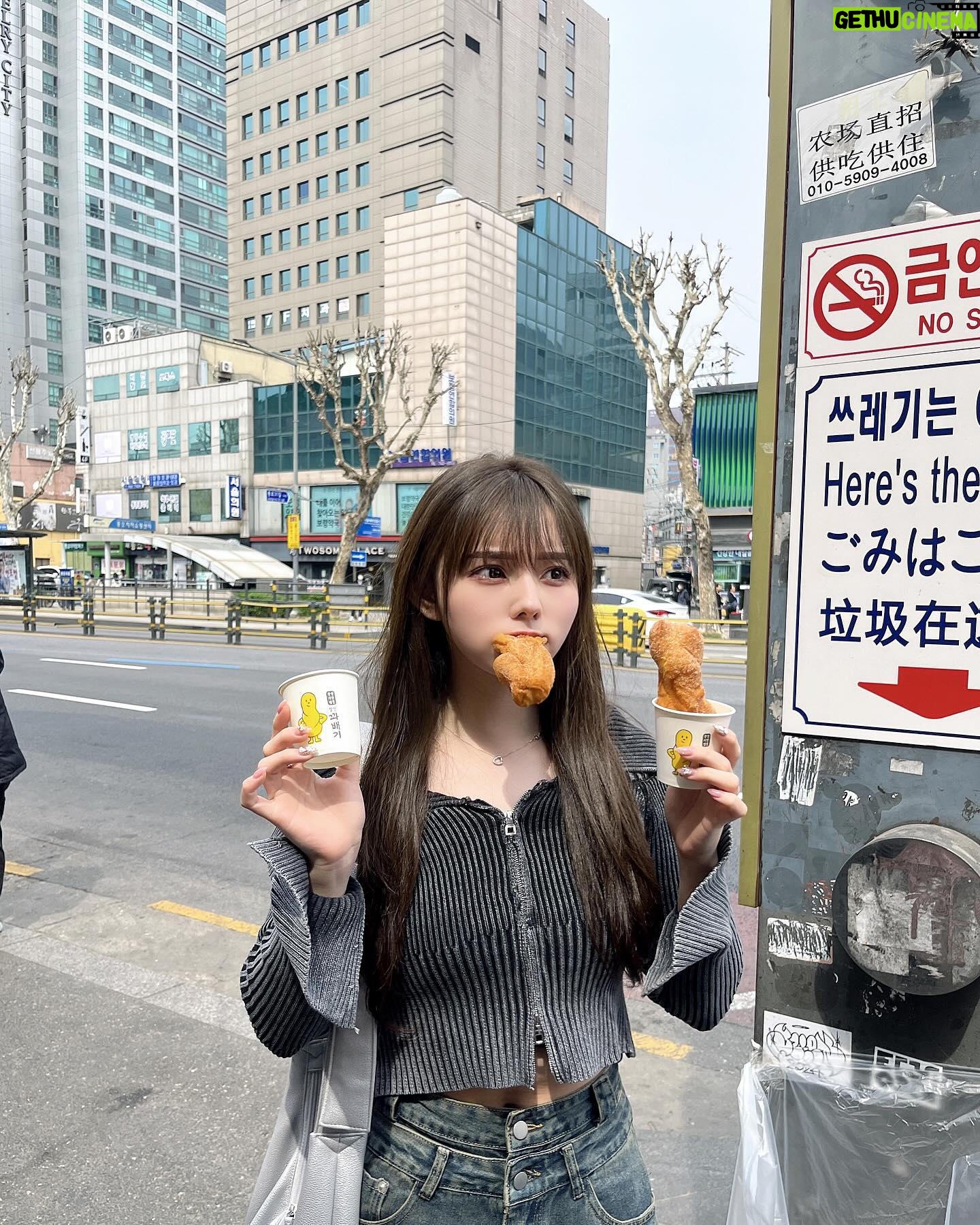 Rio Omori - 7.6K Likes - ・
・
広蔵市場に行ったら
必ず食べたかったクァベギ🍩
1つ1000ウォン(100円)なのお安すぎて
2つも食べちゃった🐒
揚げたてサクモチで美味しかった...🤤💗
・
・
#大森莉緒 #おーりお #おりおんず #おりおの食 #おりおの旅 #韓国 #韓国旅行 #渡韓 #広蔵市場 #食べ歩き #クァベギ #ドーナツ #オフショル #デニム #instagood #good #food #travel #korea #y2k #먹스타그램 #음식 #맛있다그램 #인스타푸두 #옷 #좋아요 #여행 #서울 #광장시장 #찹쌀꽈배기