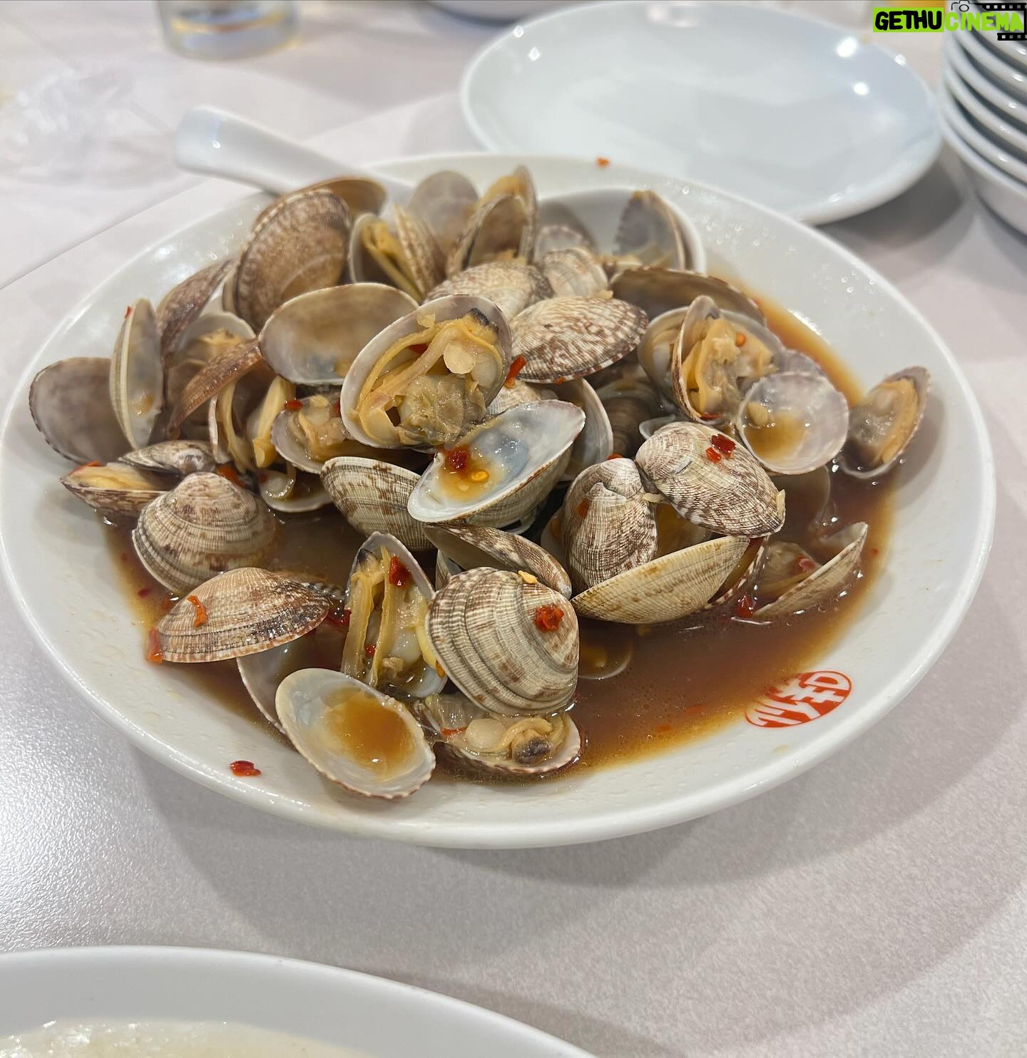 Rio Uchida - 39.2K Likes - ずっと行きたかった名古屋の中華屋さん
味仙で台湾ラーメン食べてきた!
みんなでシェアしたから0〜4辛を食べ比べ。
わたしショボすぎて普通の辛さで火を吹いて🔥
結局0辛のアメリカンを食べましたw
みんなは辛いのイケるーーーーー?
#味仙
#青菜炒め5秒で出てきた
#小袋とアサリ美味しすぎ
#手羽先辛すぎ
#全部うますぎ問題