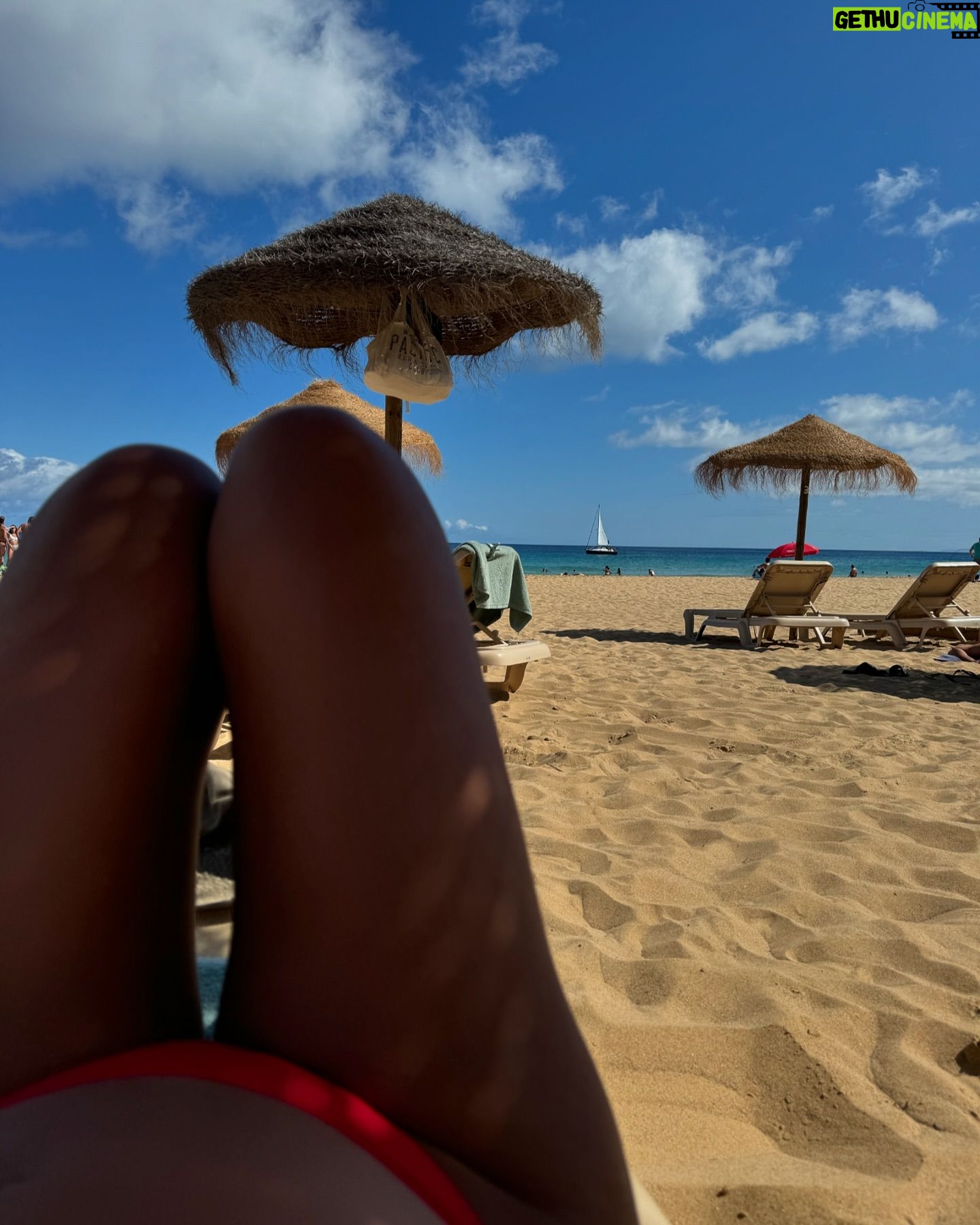 Rita Pereira - 59.3K Likes - Estão a ser dias tão tranquilos e bem passados em família.
Obrigada @vilabaleira por esta paz 🤎
#portosanto #madeira #vilabaleira #vilabaleirasuites #familytrip #familyvacation #parceria
