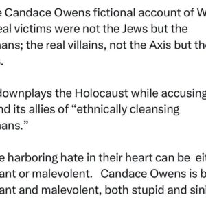 Ritchie Torres Instagram - In the Candace Owens fictional account of WWII, the real victims were not the Jews but the Germans; the real villains, not the Axis but the Allies. 

She downplays the Holocaust while accusing the US and its allies of “ethnically cleansing Germans.” 

Those harboring hate in their heart can be  either ignorant or malevolent.  Candace Owens is both ignorant and malevolent, both stupid and sinister.