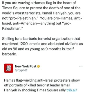 Ritchie Torres Instagram - If you are waving a Hamas flag in the heart of Times Square to protest the death of one of the world’s worst terrorists, Ismail Haniyeh, you are not “pro-Palestinian.” You are pro-Hamas, anti-Israel, anti-American—anything but “pro-Palestinian.”

Shilling for a barbaric terrorist organization that murdered 1200 Israelis and abducted civilians as old as 86 and as young as 9 months is itself barbaric.