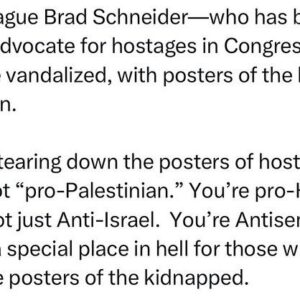 Ritchie Torres Instagram - My colleague Brad Schneider—who has been the leading advocate for hostages in Congress—had his office vandalized, with posters of the hostages torn down. 

If you’re tearing down the posters of hostages, you’re not “pro-Palestinian.” You’re pro-Hamas. You’re not just Anti-Israel.  You’re Antisemitic.  There’s a special place in hell for those who vandalize posters of the kidnapped.