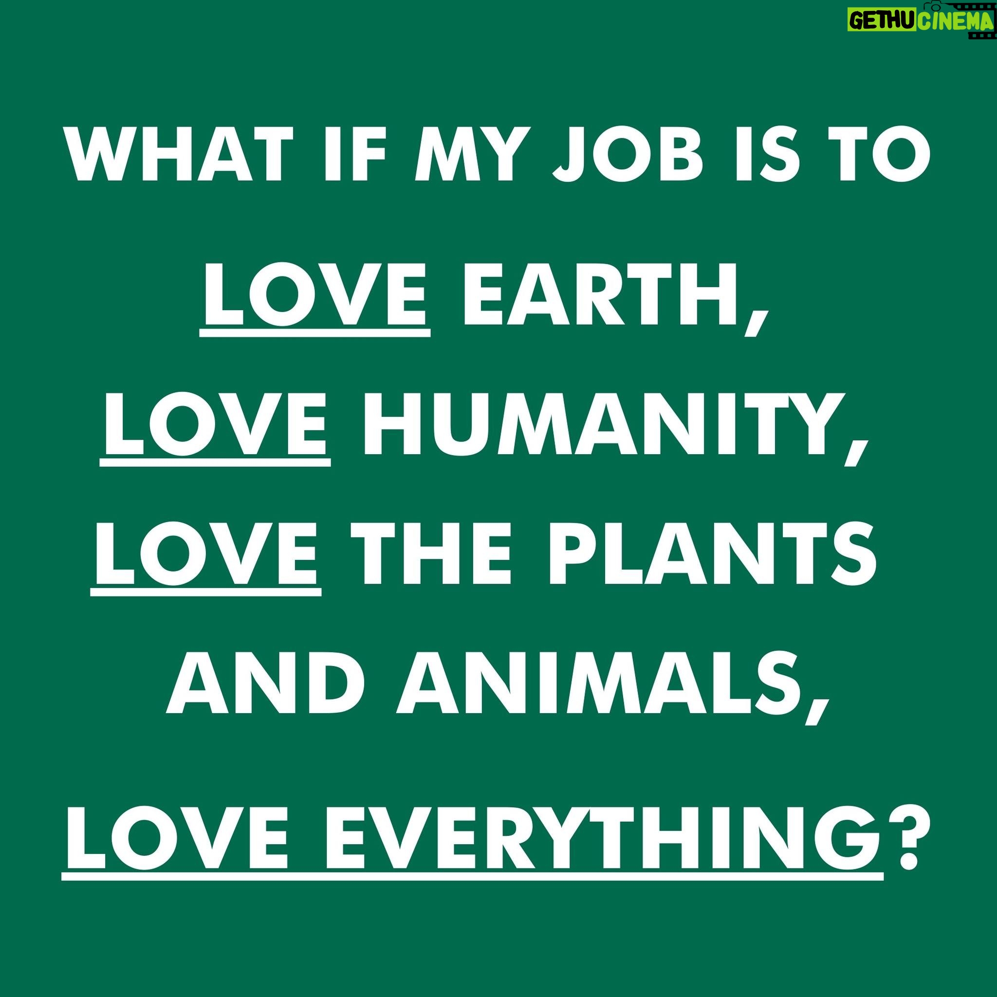 Rob Greenfield - 1.4K Likes - What if my job is to love the Earth, love humanity, love the plants and animals, love everything?
To make this love central to my being. Central to my thoughts. Central to my words. Central to my actions. Walking as if every step were an offering of my love for Mother Earth…
To love this Earth so deeply and passionately that others felt the love in my presence. In feeling this love, they fall more deeply in love with Earth, with life, with everything.
To carry out this love in a practical way by living in harmony with this Earth and the plants and animals we share this home with.
To teach this living in love to others on this path through practical and accessible means.
For over a decade I have contemplated how I can simplify my life and my mission down to one central concept. One simple ethos. One aspect to fully immerse myself in, to focus on with utter depth and clarity, to give my life to…
What if my job is to be deeply in love?
To practice love every day.
To shed everything within me that is not love.
To think love. To speak love.
To embody love into everything I do.
To bring a platonic loving energy with me everywhere I go.
What if my job is to love?
Love,
Robin