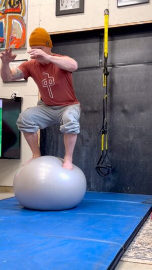 Rob 'Sluggo' Boyce Instagram - Are you having any fun? Make it fun. In the late 90s exercise balls were all the rage. Great for core strength and balance. It’s super rad once you find your balance point.  #core #exercise #fun #foreveryoung #grateful #stoked #balance #strength #training