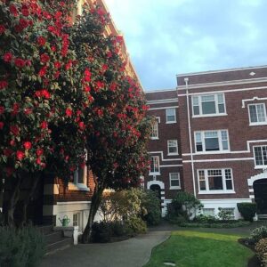 Robbie Turner Instagram - STOP SCROLLING!!!! I need your help!!! A serious post.
-
-
This is my old BEAUTIFUL apartment building (The Royvue) built in the early 1920’s. I was forced out due to INSANE overpricing. I lived here for almost a decade. -
-
It is in danger of being gutted & turned into micro apartments AS WELL AS the courtyard being destroyed and built over. -
-
There is a petition to stop them. Because the ARE NOT creating affordable housing, they are erasing a piece of architectural history that should be preserved. -
-
These are literally THE MOST beautiful apartments in Seattle. -
-
Help to #SaveTheRoyvue Go to the website (link in my story) This building I SO IMPORTANT to our city, & neighborhood. Tell everyone you know. Don’t let ugly micro housing continue to destroy Seattle. -
-
www.savetheroyvue.com -
-
#seattle #seattlelife #seattleart #seattlephotographer #seattleite #seattlemet #seattlesbest #seattleseahawks #seattlestoners #seattletattoo #seattledog