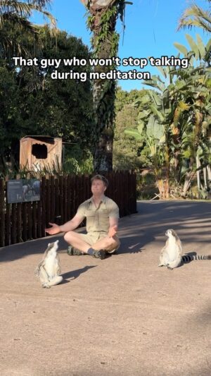 Robert Clarence Irwin Instagram - There’s always one… sorry guys.