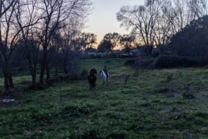 Roberto Enríquez Instagram - 🎬 Detrás de cámaras: #cortometrajeTitán (Dir. María Salgado Gispert, 2022)

📸: Gloria Salgado Gispert

‘Titán’ fue uno de los dos proyectos seleccionados en el Concurso CIMA (Asociación de Mujeres Cineastas y de Medios Audiovisuales) para la realización de cortometrajes contra la violencia de género. 💜